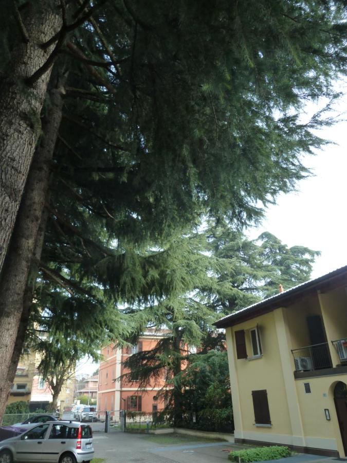 Il Giardinetto - Smart Working - Airport - Private Parking - Private Garden - Ducati - Philip Morris Apartment Bologna Exterior foto